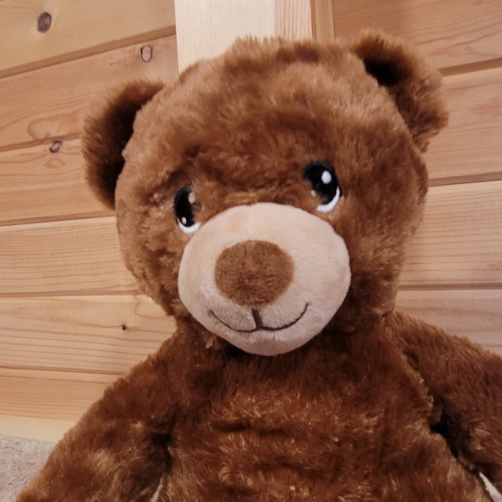 Build A Bear - Picture 3 of 4